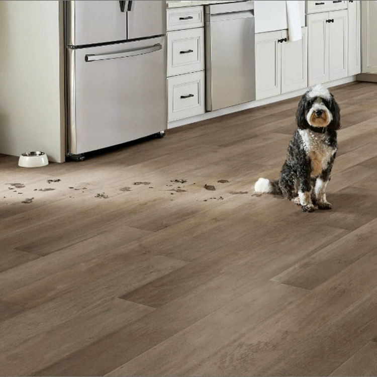 کفپوش ضد آب چوب دانه 4mm 5mm PVC کلیک قفل کفپوش Lvp کفپوش وینیل تخت لوکس وینیل کفپوش با IXPE