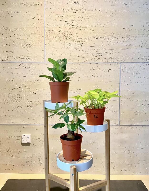 ورق های تراورتین انعطاف پذیر 3d پانل سنگ تراورتین پوشش انعطاف پذیر Ms تراورتین انعطاف پذیر بیرون آجر