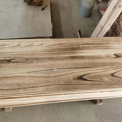 چین تولید ضد رطوبت قوی چوب کربونیزه پاولونیا